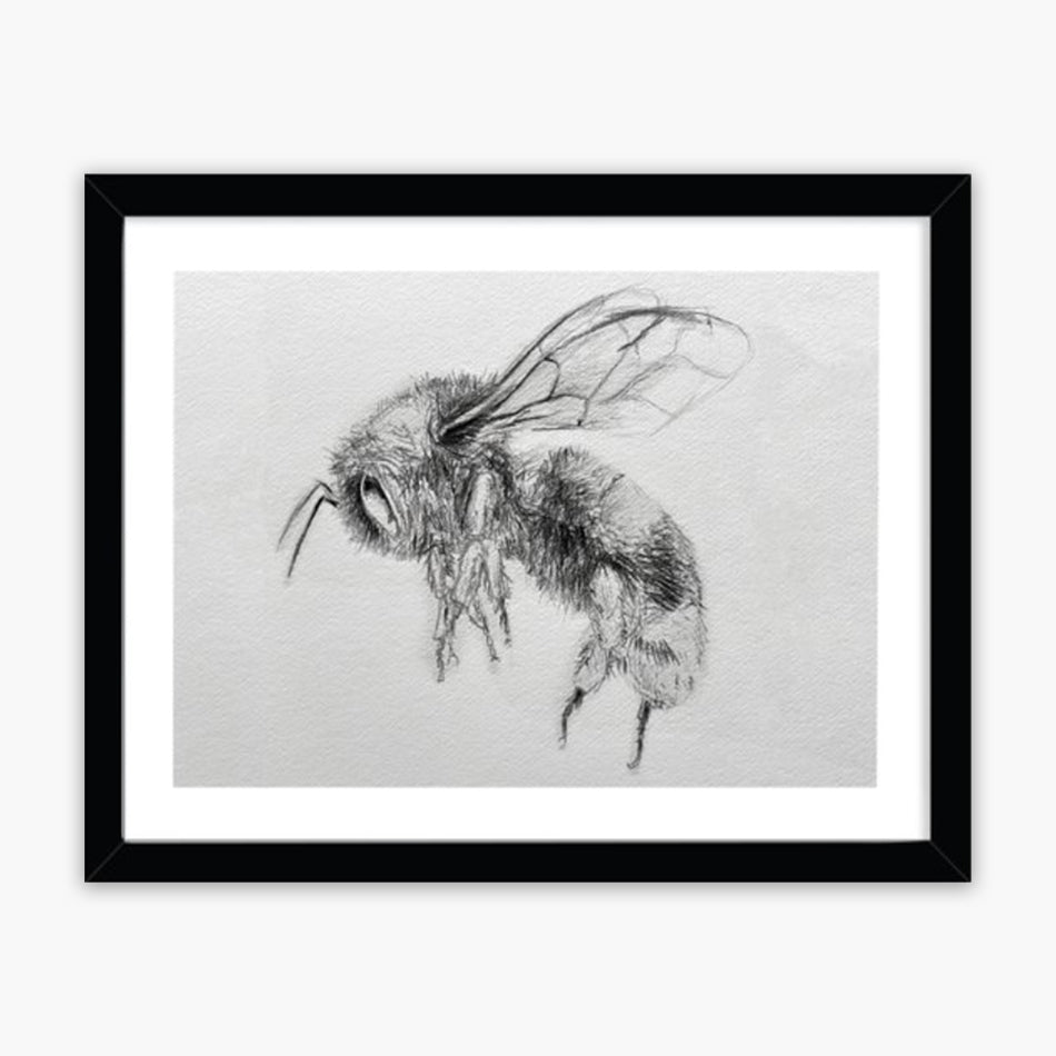 BEE SKETCH